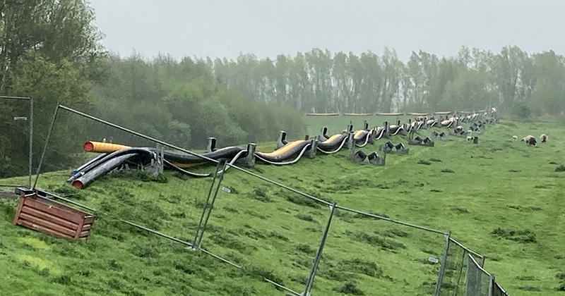 De nieuwe mantelbuizen liggen klaar op de dijk om onder de Bergsche Maas door gebracht te worden.